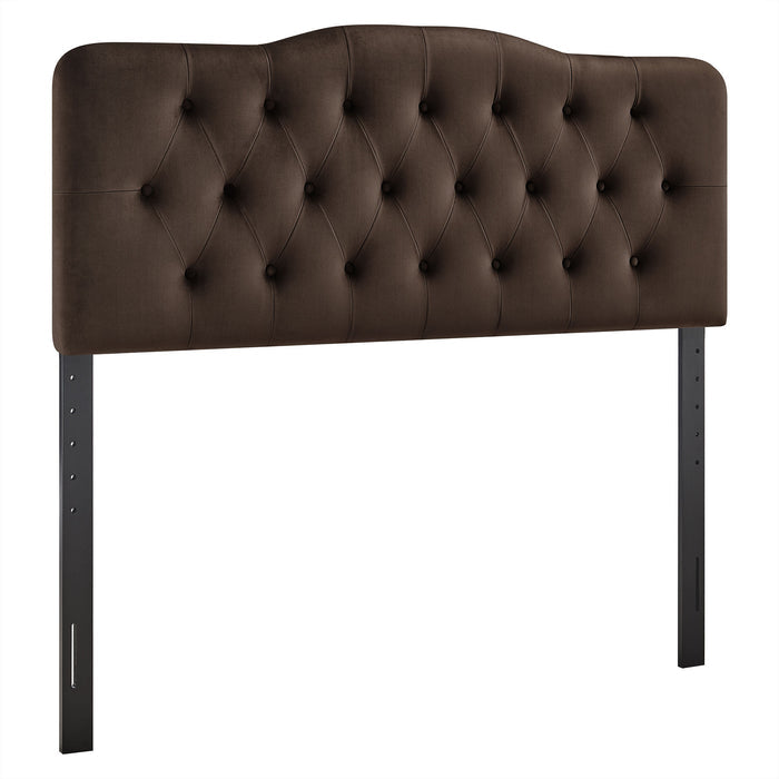 Chocolate Brown