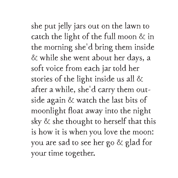 bird & brush: moonlight in jars art print