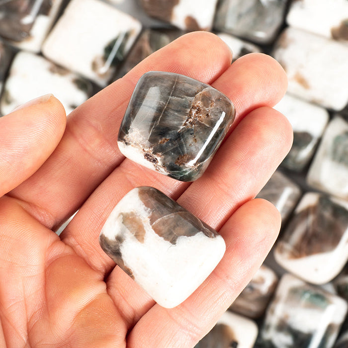 Cat's Eye Moonstone Tumbled Crystal Tumbled Aries