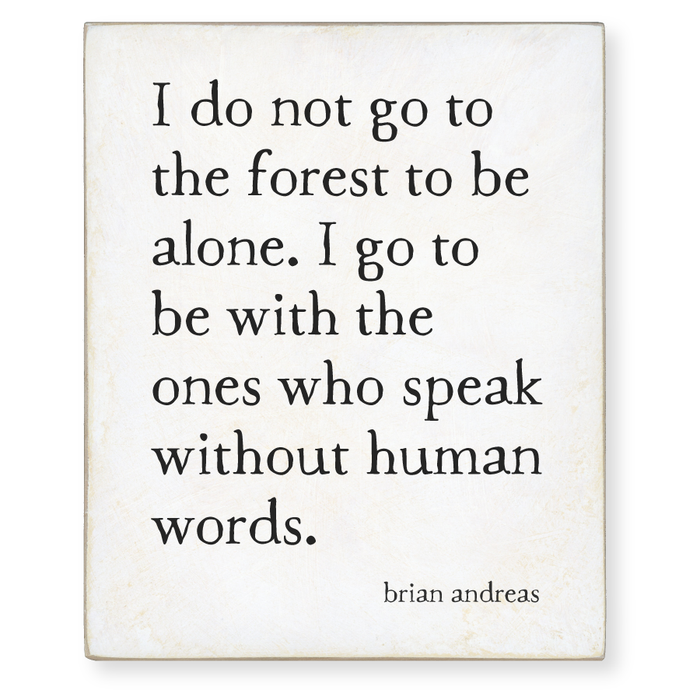 child of the forest storyblock