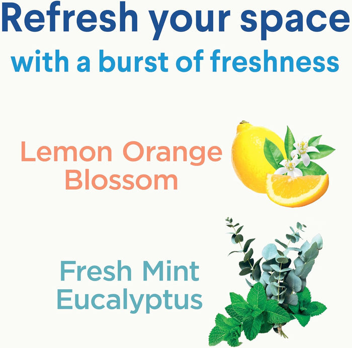 Clorox Disinfecting Mist for Self Care Home Reset, Bacteria Free Living Room and Bedroom Daily Mist