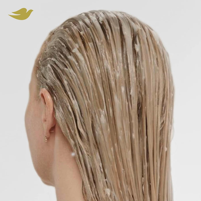 Dove Bond Strength Shampoo, Conditioner & Serum Bundle – Thoughtful Holiday Gift for Her Hair Recovery