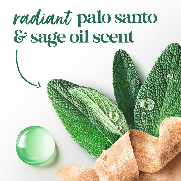 palo santo & sage warm, aromatic scent blend
