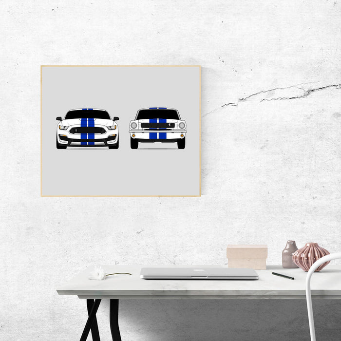 Ford Mustang Shelby GT350s Classic and New Generations