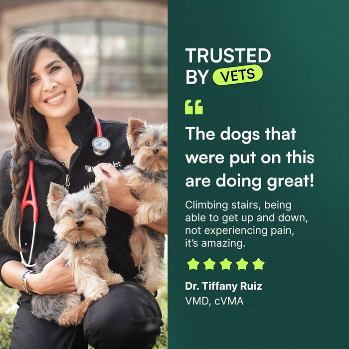breed-size specific variants (small/medium vs large) and multi-pack count options (1, 2, or 3 packs)