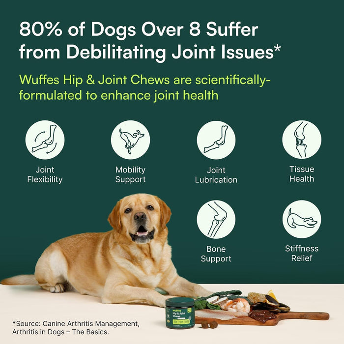 Hip and Joint Care Chews – Practical Gift for Owners of Giant Breed Dogs