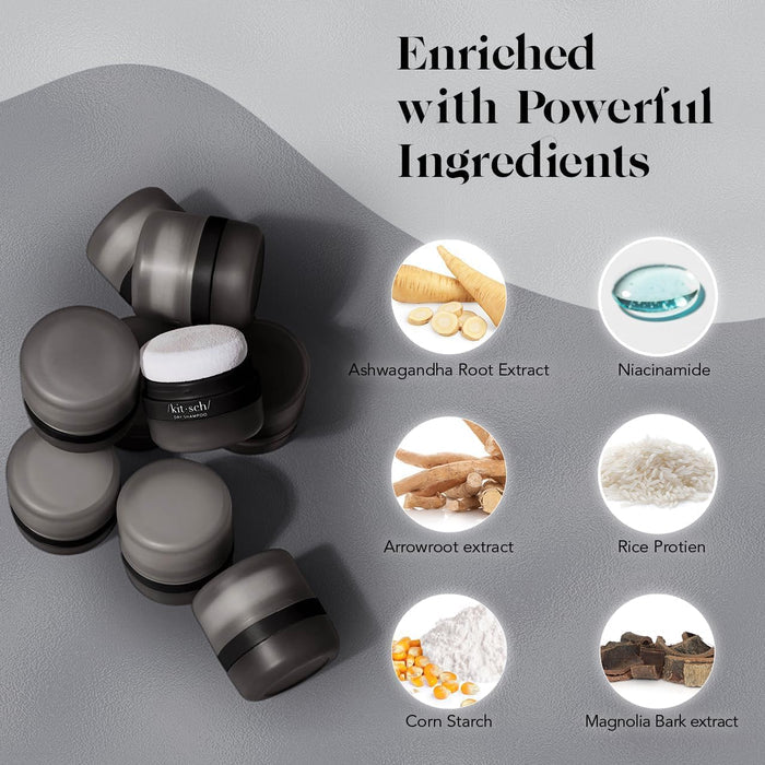 rice protein-infused volumizing and oil-absorbing powder base