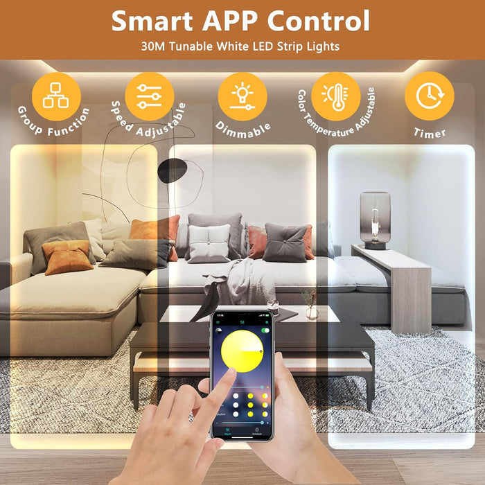 rf remote controller (2xaaa) as a backup control method independent of the app