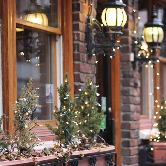 Minetom 200 Count Mini String Lights for Mantel Garland and Living Room Aesthetic, Green Wire 51.7ft