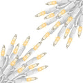 Warm White - 100 Count - 2 Pack