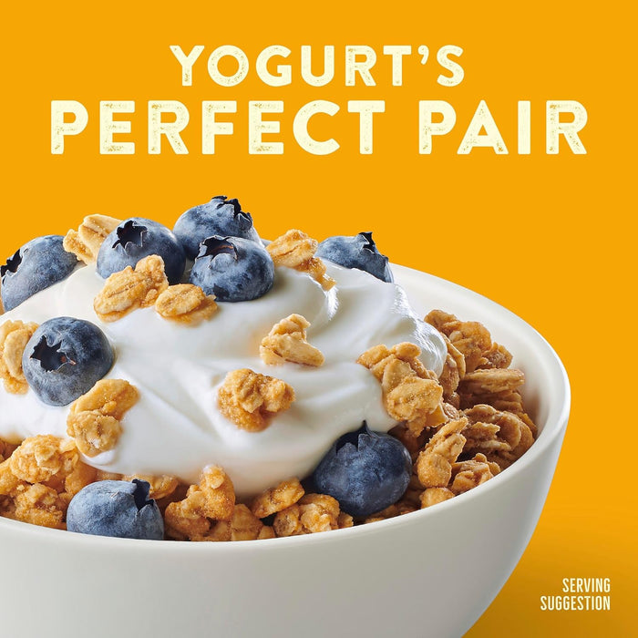 Nature Valley Protein Granola – Post-Workout Recovery Snack, Whole Grain Honey Clusters for Active Self-Care