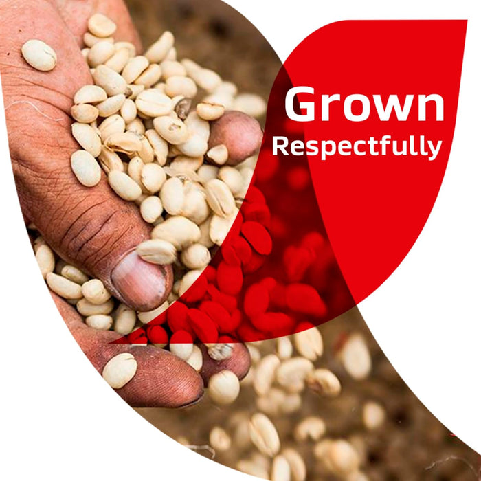 sustainably and respectfully grown coffee bean sourcing
