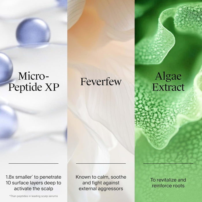 free-from formulation: no sulfates, dyes, parabens, or phthalates