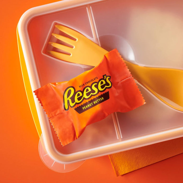 13.75-ounce total package weight designed for multi-occasion use