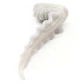 Scylla S2-2325 ~ Small Size ~ Supersoft