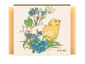 Spring Chick