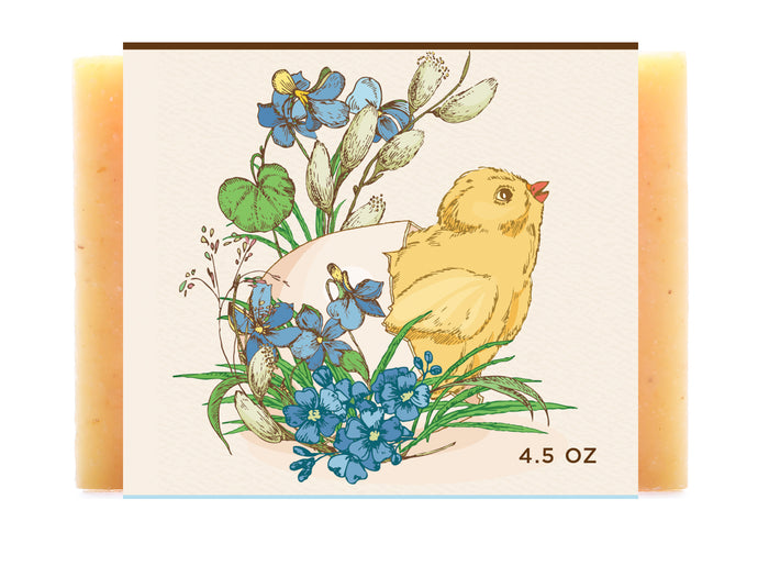 Spring Chick