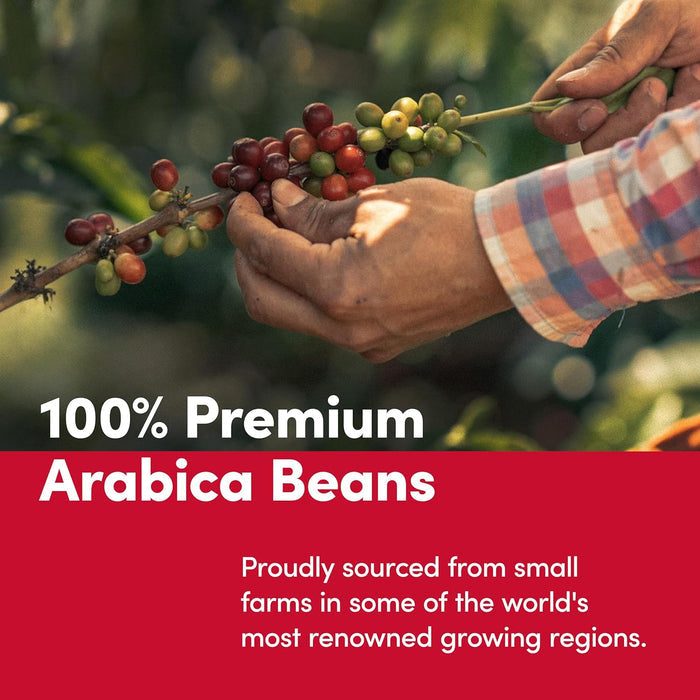 100% arabica coffee from central and south america