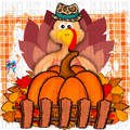 Turkey in the field PNG