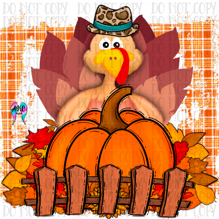Turkey in the field PNG