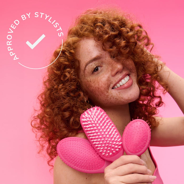 Wet Brush Speed Dry Hair Brush - Fast Morning Blow-Dry Brush for Busy Professionals on Weekday Routines